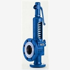 進(jìn)口安全閥